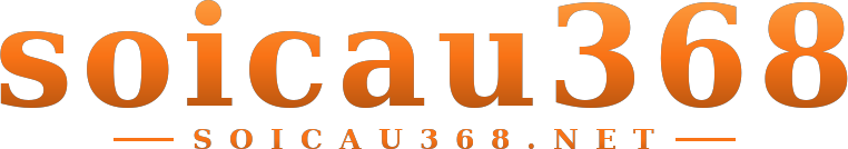 soicau368 logo